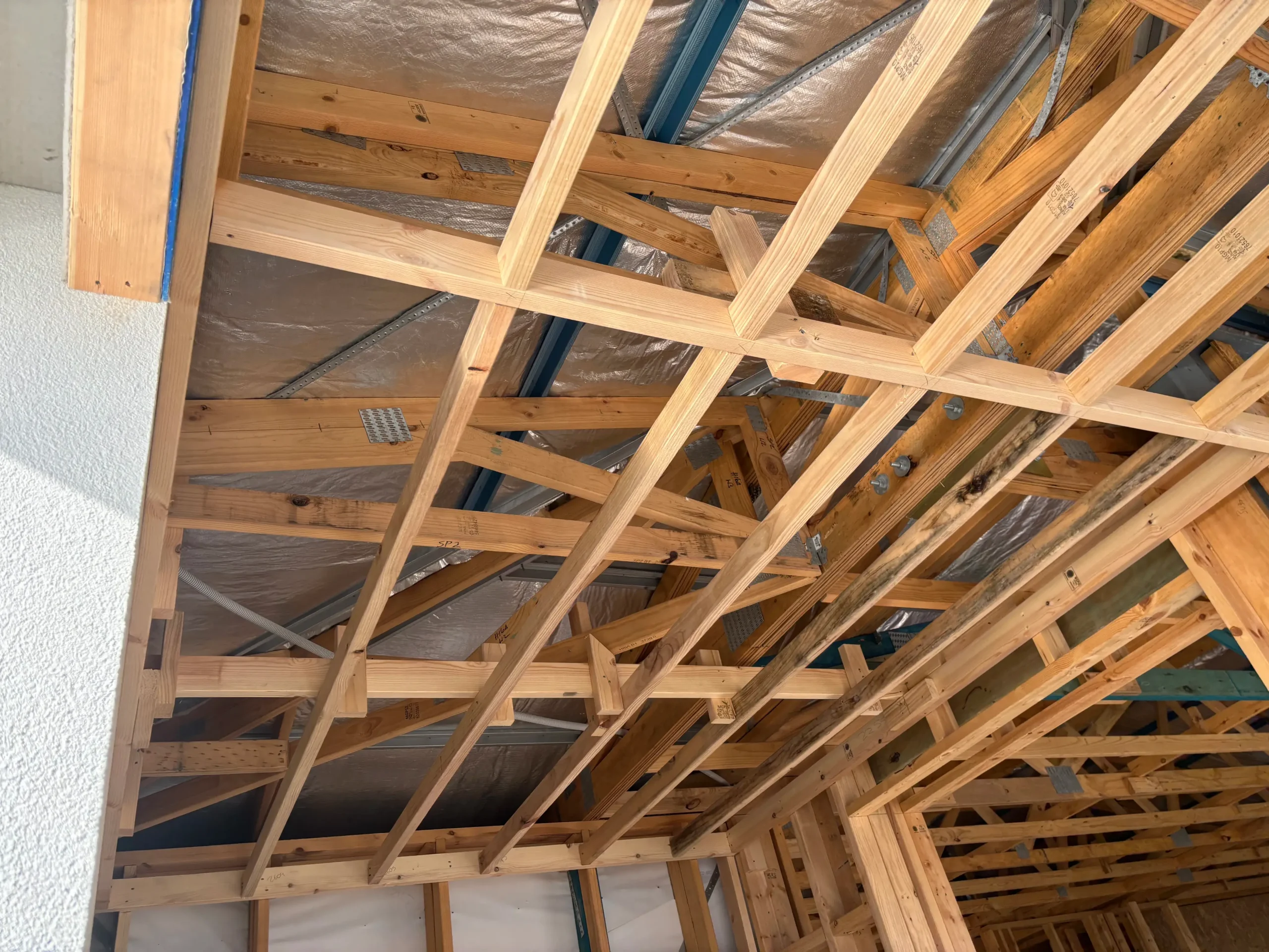 New timber roof framing and insulation inside a Bella Carpentry garage conversion in Adelaide